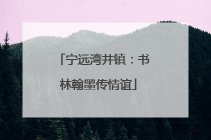 宁远湾井镇：书林翰墨传情谊