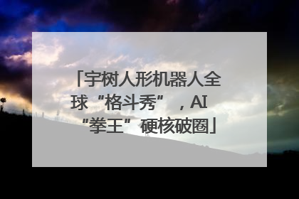 宇树人形机器人全球“格斗秀”，AI“拳王”硬核破圈