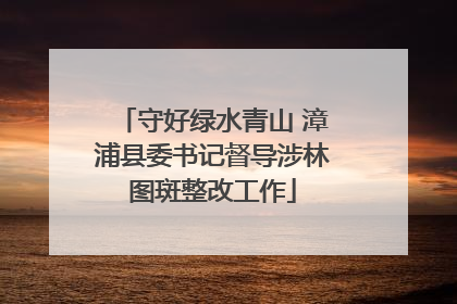 守好绿水青山 漳浦县委书记督导涉林图斑整改工作