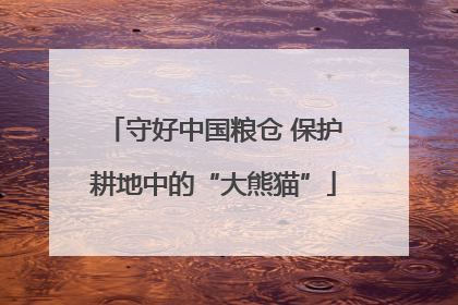 守好中国粮仓 保护耕地中的“大熊猫”