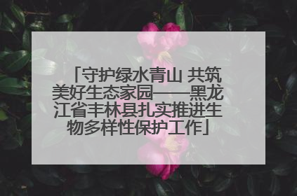 守护绿水青山 共筑美好生态家园——黑龙江省丰林县扎实推进生物多样性保护工作