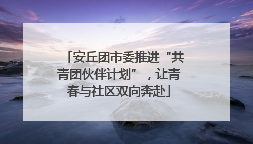 安丘团市委推进“共青团伙伴计划”，让青春与社区双向奔赴