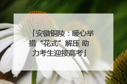 安徽铜陵：暖心举措“花式”解压 助力考生迎接高考