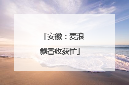 安徽：麦浪飘香收获忙
