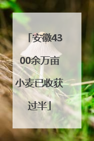 安徽4300余万亩小麦已收获过半