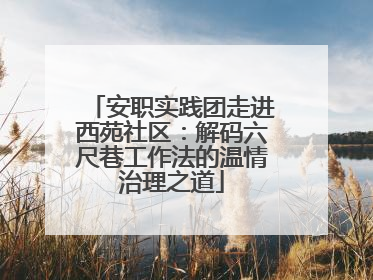 安职实践团走进西苑社区：解码六尺巷工作法的温情治理之道