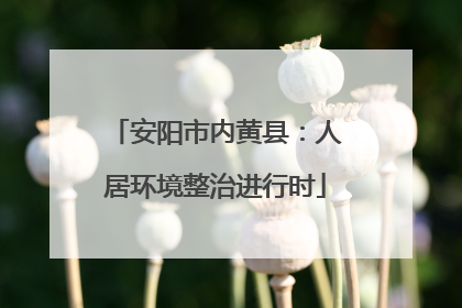 安阳市内黄县：人居环境整治进行时