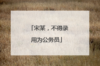 宋某，不得录用为公务员