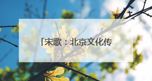 宋歌：北京文化传承创新的革新引擎