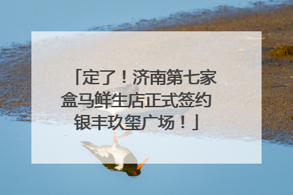 定了！济南第七家盒马鲜生店正式签约银丰玖玺广场！