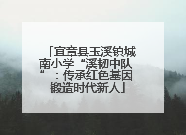 宜章县玉溪镇城南小学“溪韧中队”：传承红色基因 锻造时代新人