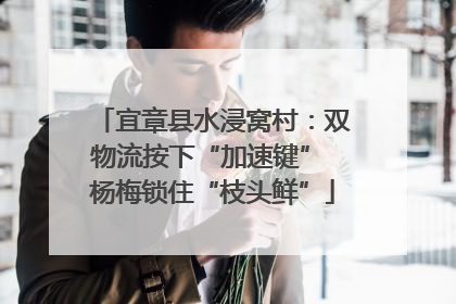 宜章县水浸窝村：双物流按下“加速键” 杨梅锁住“枝头鲜”