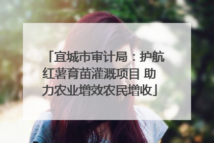 宜城市审计局：护航红薯育苗灌溉项目 助力农业增效农民增收