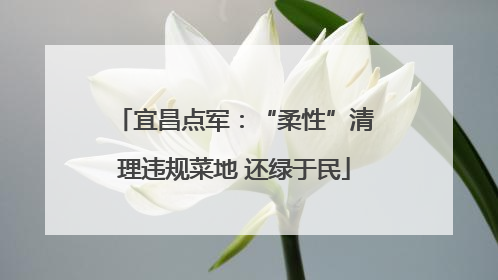 宜昌点军：“柔性”清理违规菜地 还绿于民