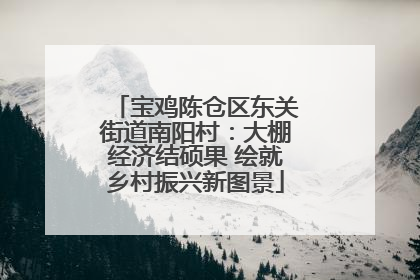 宝鸡陈仓区东关街道南阳村：大棚经济结硕果 绘就乡村振兴新图景