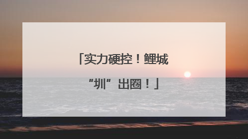 实力硬控！鲤城“圳”出圈！