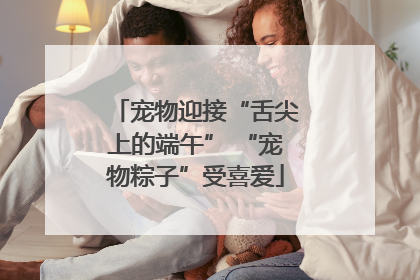 宠物迎接“舌尖上的端午” “宠物粽子”受喜爱