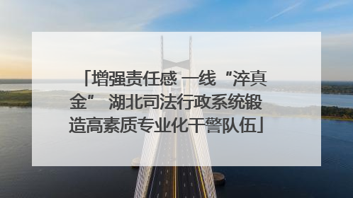 增强责任感 一线“淬真金” 湖北司法行政系统锻造高素质专业化干警队伍