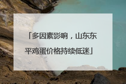 多因素影响，山东东平鸡蛋价格持续低迷