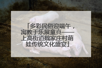 多彩民俗迎端午，寓教于乐展童真——上高街道魏家庄村萌娃传统文化盛宴