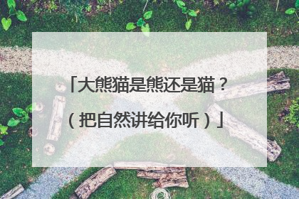 大熊猫是熊还是猫？（把自然讲给你听）