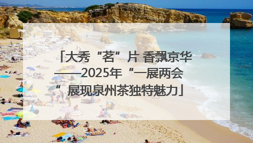 大秀“茗”片 香飘京华——2025年“一展两会”展现泉州茶独特魅力