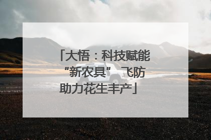 大悟：科技赋能“新农具” 飞防助力花生丰产