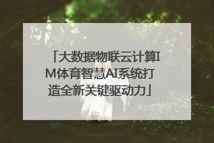 大数据物联云计算IM体育智慧AI系统打造全新关键驱动力