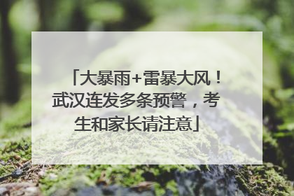 大暴雨+雷暴大风！武汉连发多条预警，考生和家长请注意