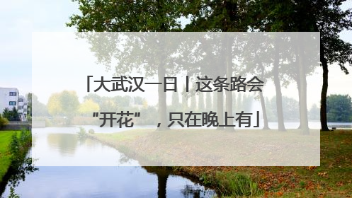 大武汉一日丨这条路会“开花”，只在晚上有