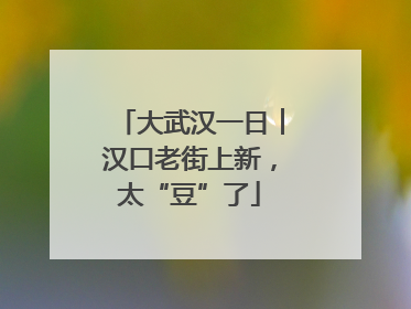 大武汉一日︱汉口老街上新，太“豆”了