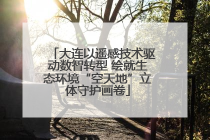 大连以遥感技术驱动数智转型 绘就生态环境“空天地”立体守护画卷