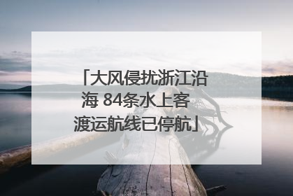大风侵扰浙江沿海 84条水上客渡运航线已停航