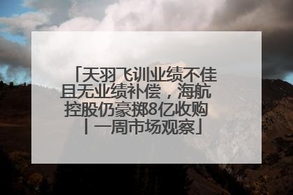 天羽飞训业绩不佳且无业绩补偿，海航控股仍豪掷8亿收购丨一周市场观察