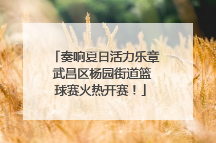奏响夏日活力乐章 武昌区杨园街道篮球赛火热开赛！