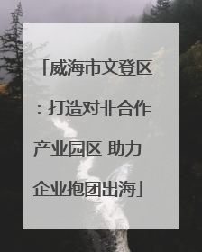 威海市文登区：打造对非合作产业园区 助力企业抱团出海