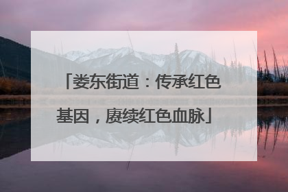 娄东街道：传承红色基因，赓续红色血脉