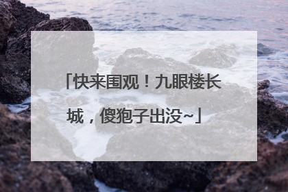 快来围观！九眼楼长城，傻狍子出没~