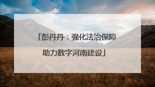 彭丹丹：强化法治保障 助力数字河南建设