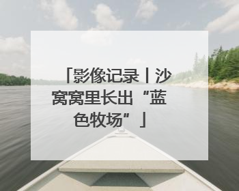 影像记录丨沙窝窝里长出“蓝色牧场”