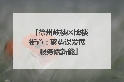 徐州鼓楼区牌楼街道：聚势谋发展 服务赋新能
