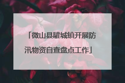 微山县驩城镇开展防汛物资自查盘点工作