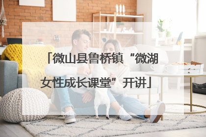 微山县鲁桥镇“微湖女性成长课堂”开讲