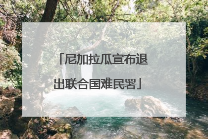 尼加拉瓜宣布退出联合国难民署