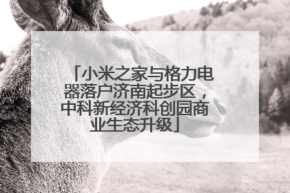 小米之家与格力电器落户济南起步区，中科新经济科创园商业生态升级