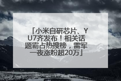 小米自研芯片、YU7齐发布！相关话题霸占热搜榜，雷军一夜涨粉超20万