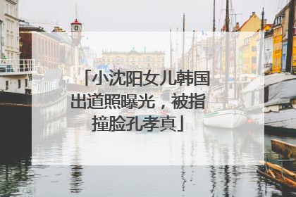 小沈阳女儿韩国出道照曝光，被指撞脸孔孝真