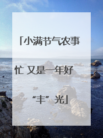 小满节气农事忙 又是一年好“丰”光