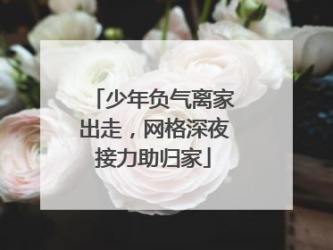 少年负气离家出走，网格深夜接力助归家