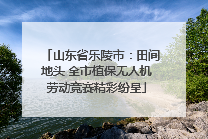 山东省乐陵市：田间地头 全市植保无人机劳动竞赛精彩纷呈